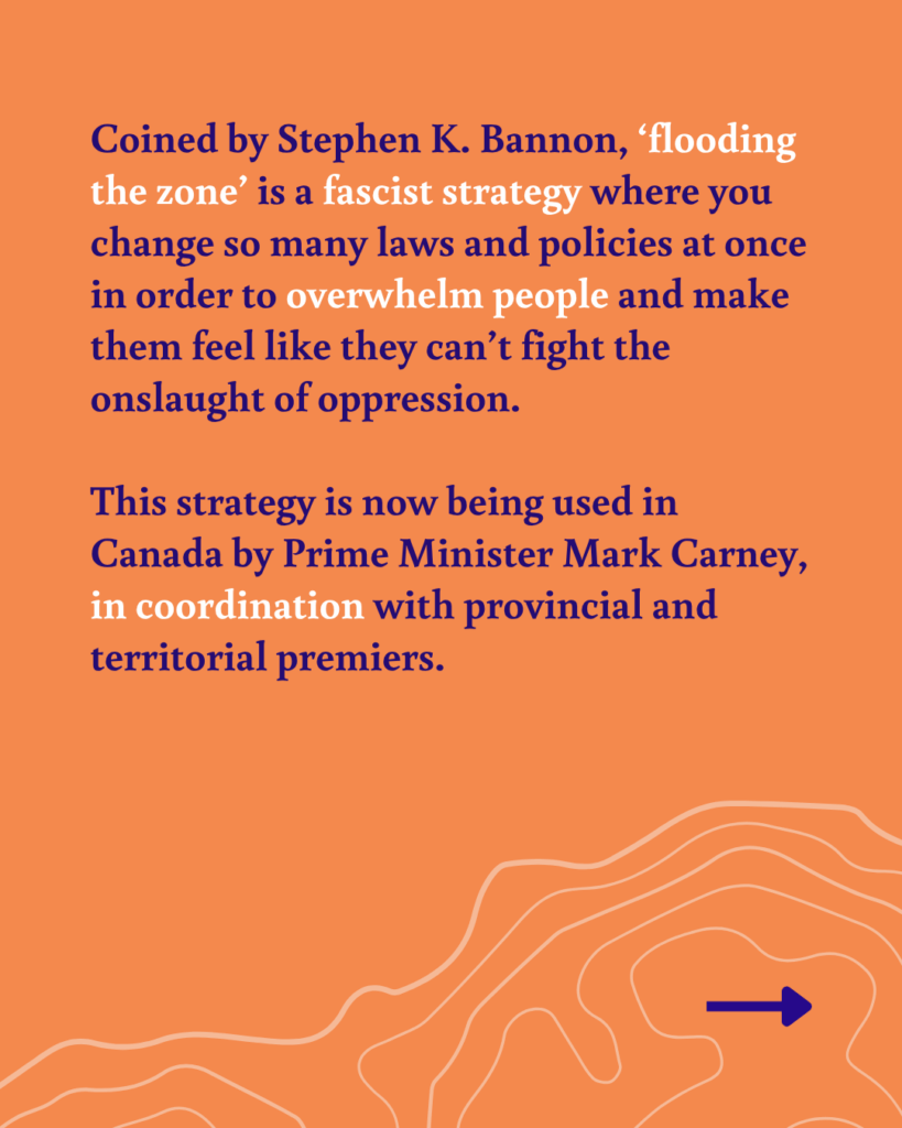 Stephen K. Bannon coined the term "flooding the zone"