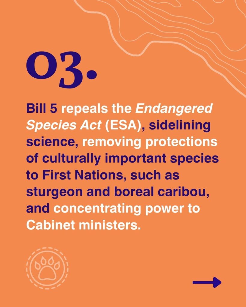 Bill 5 repeals the Endangered Species Act (ESA), sidelining science, removing protections, and concentrating power.