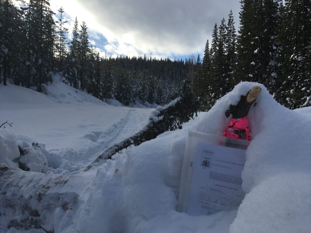 Wet'suwet'en territory