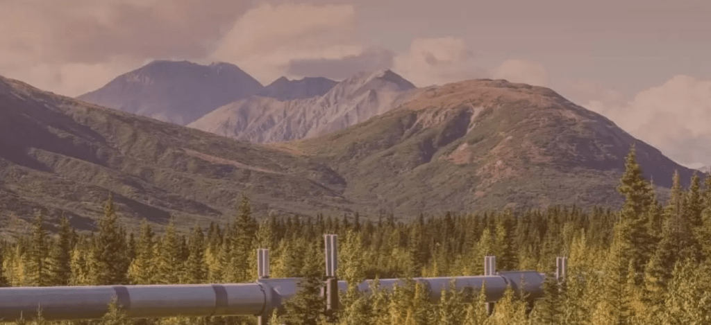 November 2025: New PONIs, Budget Analysis, Bill 97 Killed, and Rising Resistance